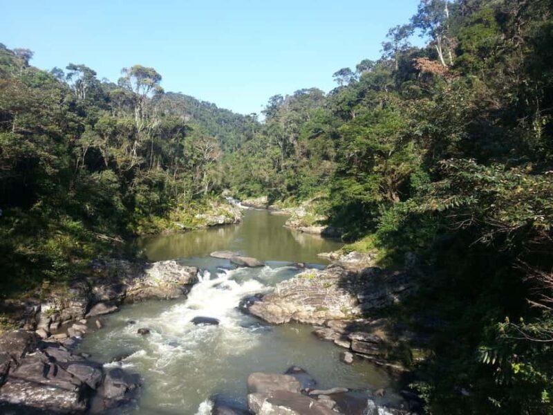 Madagascar: Nature and Discovery Tour - An In-Depth Look at What the Tour Offers