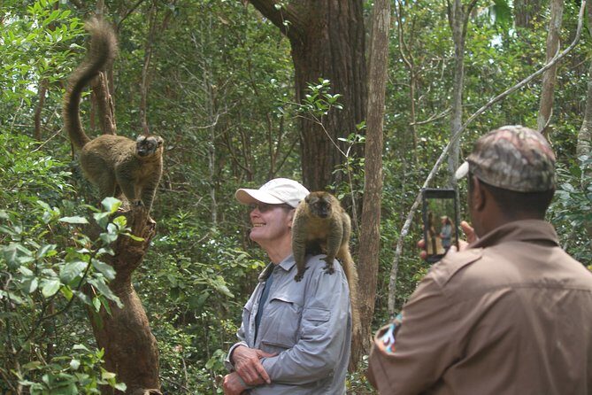 Madagascar Wildlife Tour for 02 days - Itinerary Breakdown
