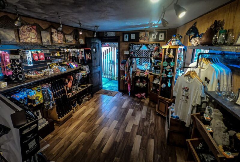 Madeira Beach: Pirate Adventure Cruise - Who Should Consider This Cruise?