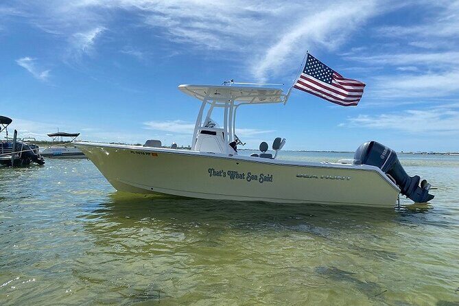 Madeira Beach - Shell Key - Dolphins - Half Day Private Boat Tour - Key Points