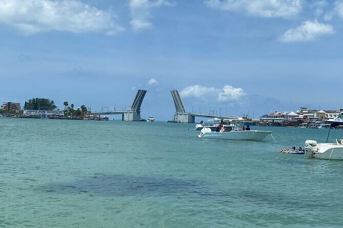 Madeira Beach - Shell Key - Dolphins - Half Day Private Boat Tour - What Makes This Tour Special?