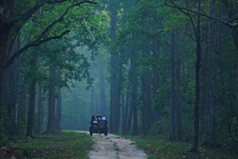 Madhya Pradesh: Satpura National Park Guided Jeep Safari - Final Thoughts