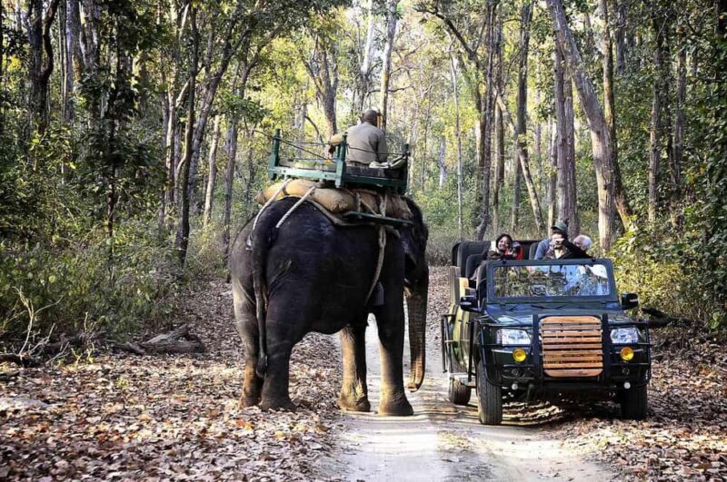 Madhya Pradesh Tribal and National Park Tour 3D/2N - Exploring the Madhya Pradesh Tribal and National Park Tour