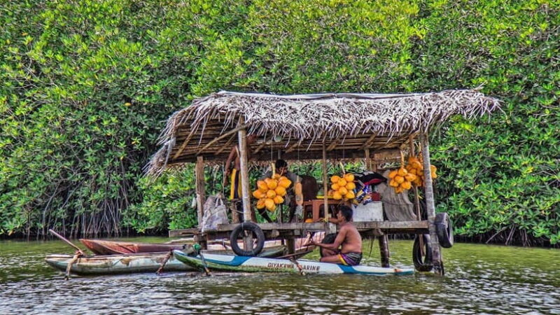 Madu River Boat Safari - Cost and Value