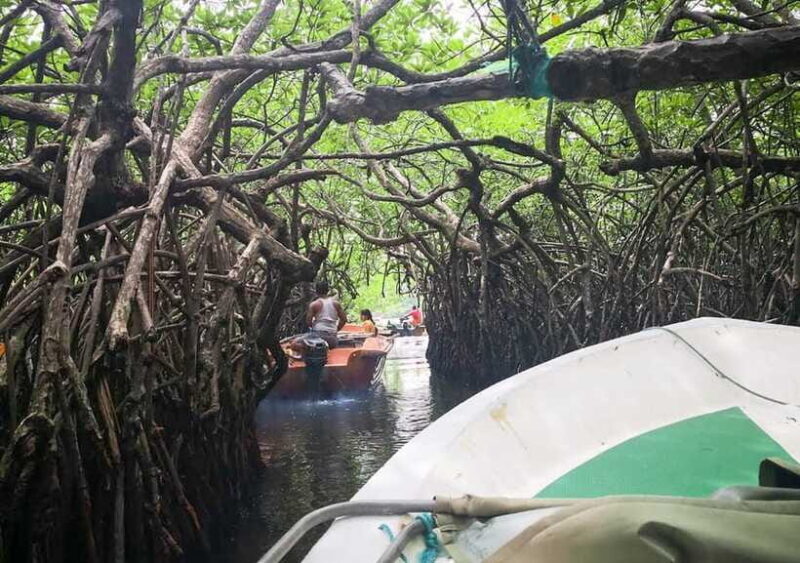 Madu River Boat Safari - FAQ: Common Questions About the Madu River Boat Safari