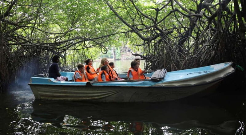 Madu River Boat Tour and Cinnamon Garden visit - Exploring the Madu River: A Natural and Cultural Treasure