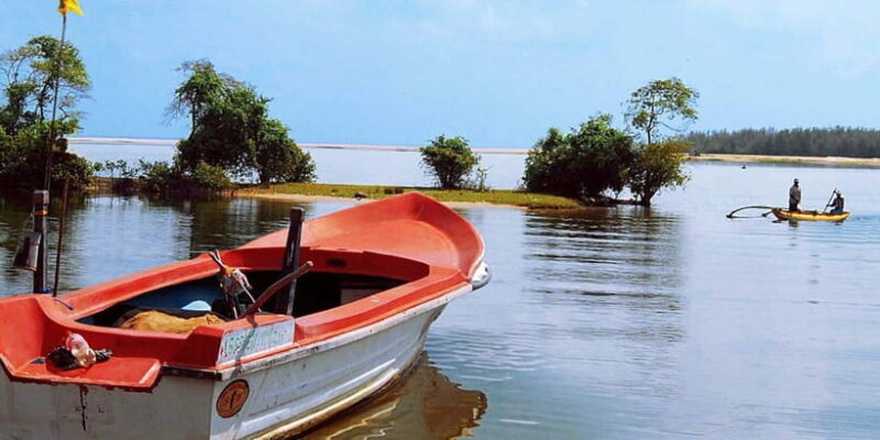 Madu River Boat Tour and Cinnamon Garden visit - Enhancing the Experience: Optional Add-ons