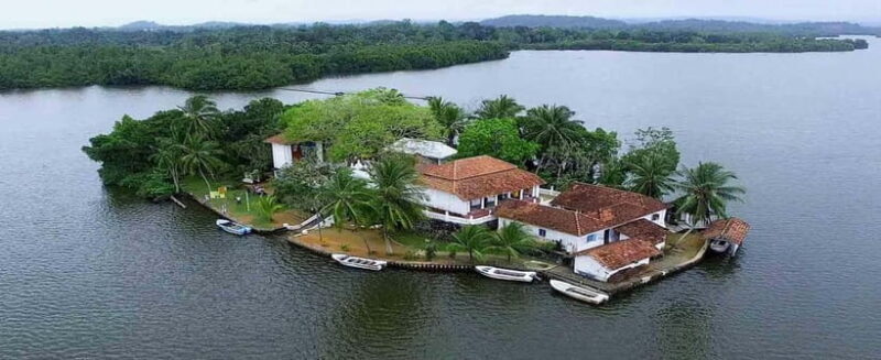 Madu River Boat Tour and Cinnamon Garden visit - What Travelers Say