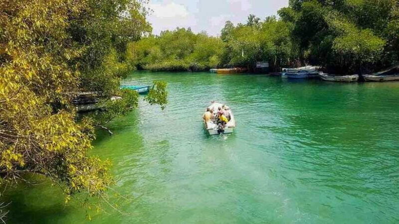 Madu River Boat Tour and Cinnamon Garden visit - Who Should Consider This Tour?