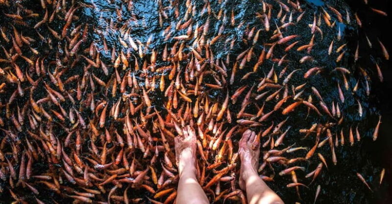 Madu River Boat Tour and Cinnamon Garden visit - Frequently Asked Questions
