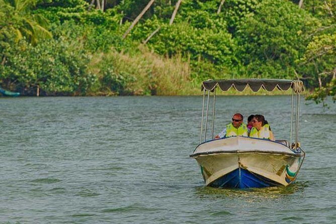 Madu River Safari at Balapitiya - An In-Depth Look at the Madu River Safari