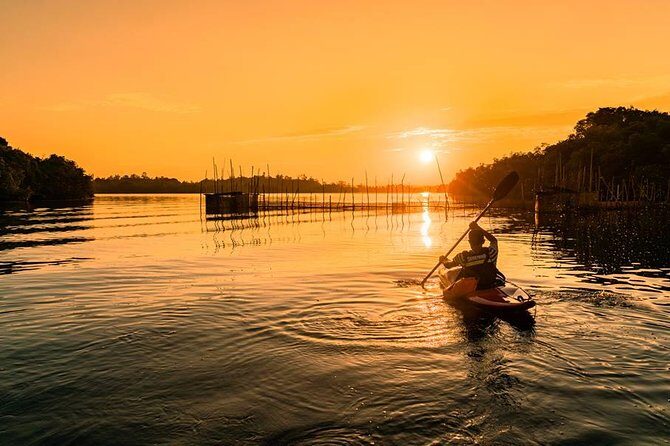 Madu River Sunrise Mangrove Kayaking - What Is the Madu River Sunrise Mangrove Kayaking?