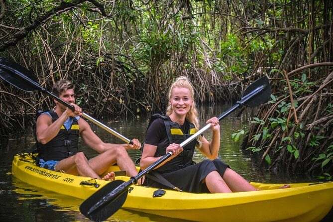 Madu River Sunrise Mangrove Kayaking - The Itinerary and What to Expect