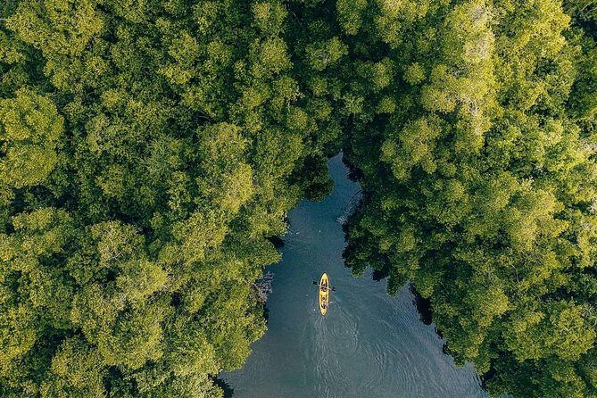Madu River Sunrise Mangrove Kayaking - Whats Not Included