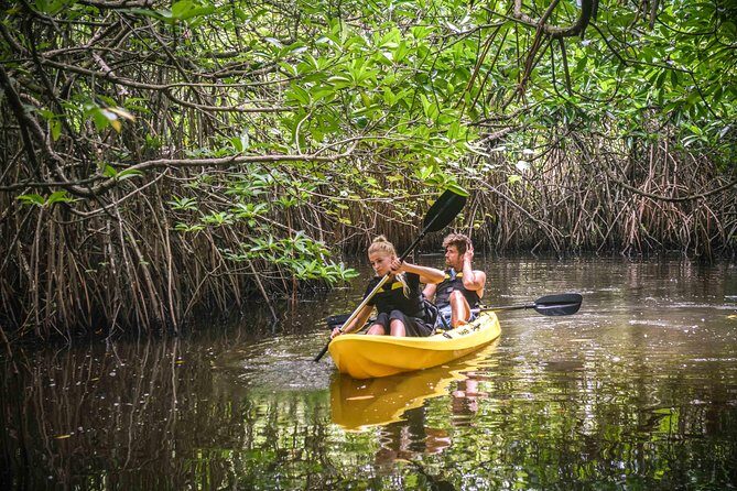 Madu River Sunrise Mangrove Kayaking - Who Should Consider This Tour?