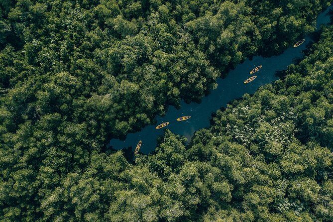 Madu River Sunrise Mangrove Kayaking from Bentota - An Idyllic Start to Your Day