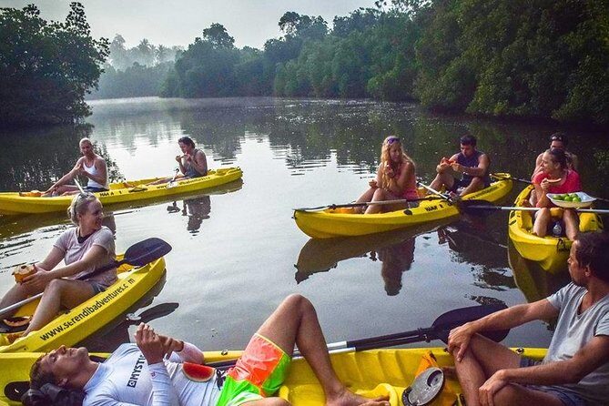 Madu River Sunrise Mangrove Kayaking from Bentota - Snacks and Support