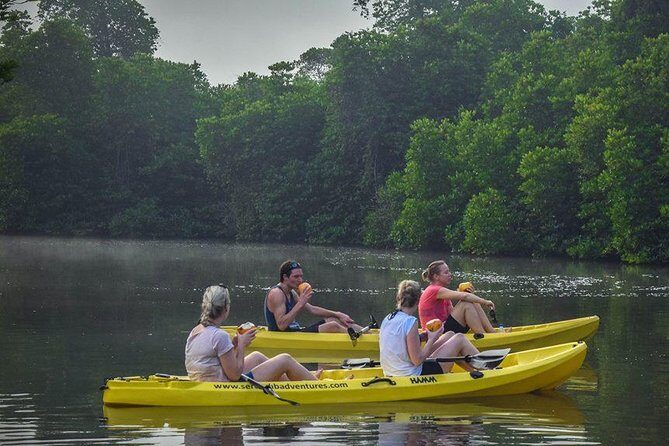 Madu River Sunrise Mangrove Kayaking from Bentota - Who Should Consider This Tour?