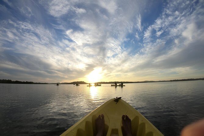 Madu River Sunrise Mangrove Kayaking from Bentota - Practical Tips for Travelers
