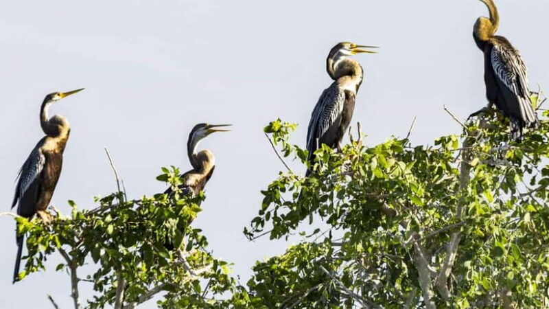 Maduru Oya National Park Private Safari - Final Thoughts
