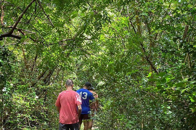 Magens Bay Trail Hiking Tour - Final Thoughts