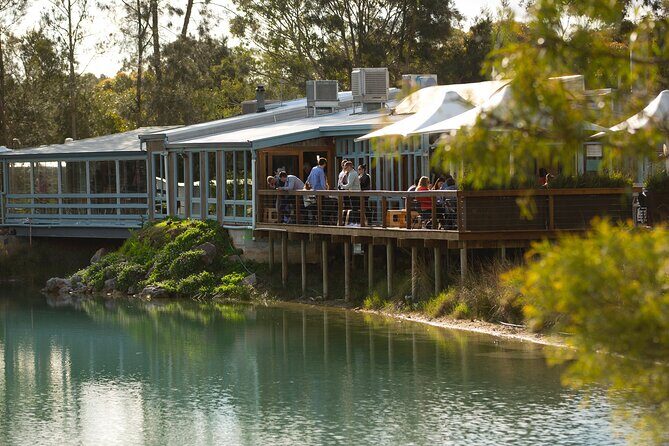 Maggie Beer's Farm Cooking School and Seasonal Lunch - A Practical Look at the Experience