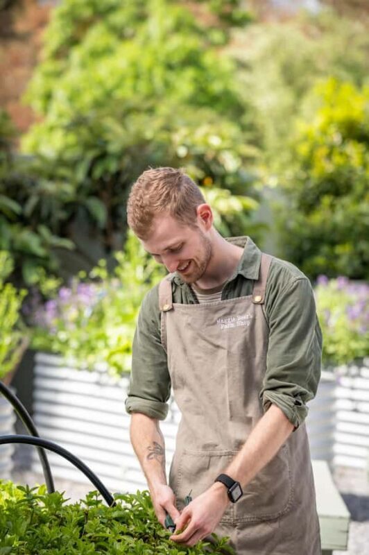 Maggie Beer's Farm Hands-on Cooking School and Lunch - The Experience: What Makes It Special?