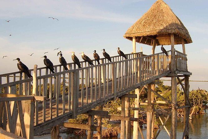 Magic Island Holbox! Experience From Cancun & Playa del Carmen - Final Thoughts: Is It Worth It?