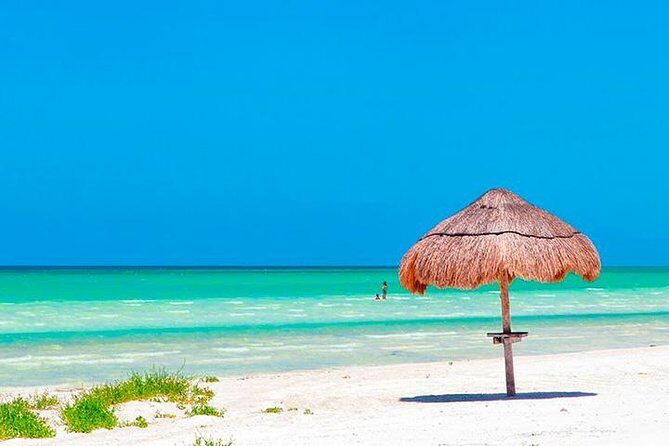 Magic Island Holbox! Experience From Cancun & Playa del Carmen - Final Words