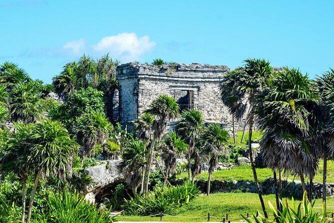 Magical adventure to Tulum, a giant sculpture and cenotes. Lunch included - FAQ