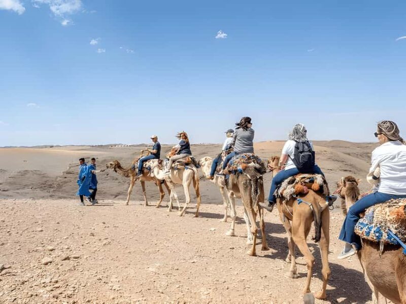 Magical Agafay : Camel Ride & Dinner show - Key Points