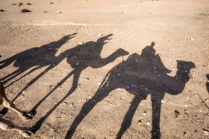 Magical Agafay : Camel Ride & Dinner show - What Travelers Say