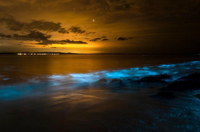 Magical Bioluminescent Night Dive - Who Should Sign Up?