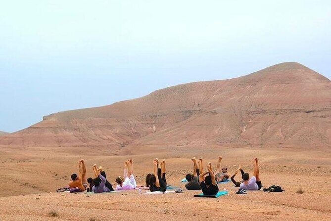 magical dinner camel ride &Quade biking and sunset - What to Consider
