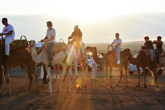 Magical Dinner Experience & Sunset Camel Ride in Marrakech Desert - Additional Info That Matters