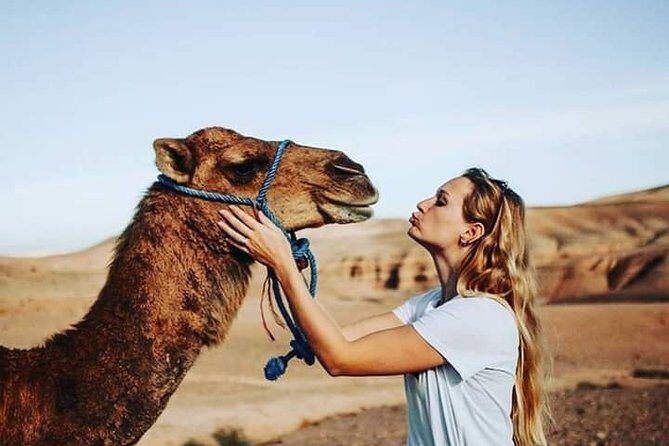 Magical Dinner In Agafay Desert & Sunset Experience From Marrakech - FAQ