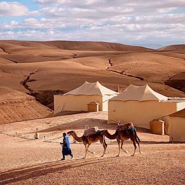 Magical Dinner In Agafay Desert Under the Stars & Camel rid - The Practical Side: Logistics, Tips, and Considerations