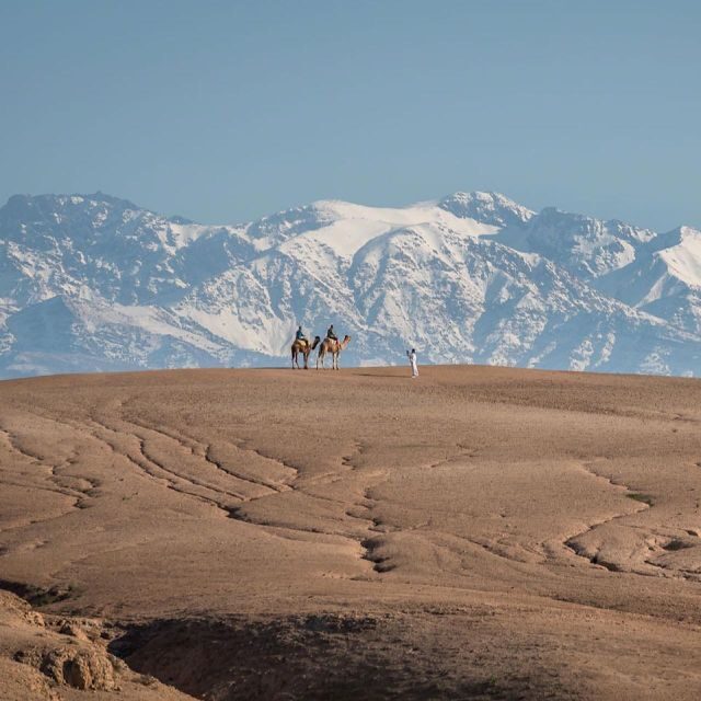 Magical Dinner In Agafay Desert Under the Stars & Camel rid - Who Should Consider This Tour?