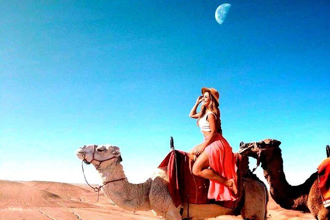 Magical dinner on sunset in Agafay desert and Camel Ride - A Practical Review of the Agafay Desert Sunset Dinner and Camel Ride Tour