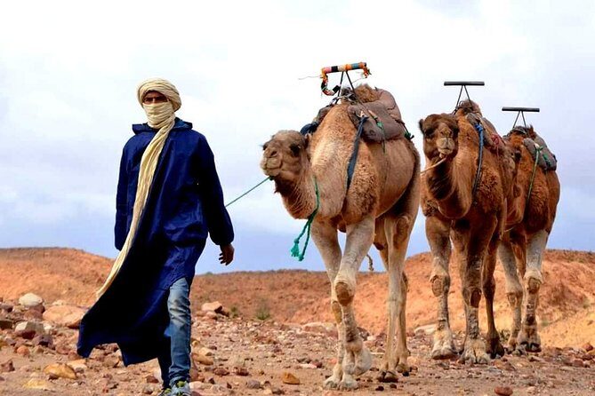Magical dinner on sunset in Agafay desert and Camel Ride - Key Points