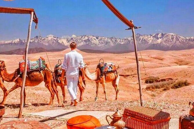 Magical Dinner show and Quad bike In Agafay Desert Marrakech - The Sum Up