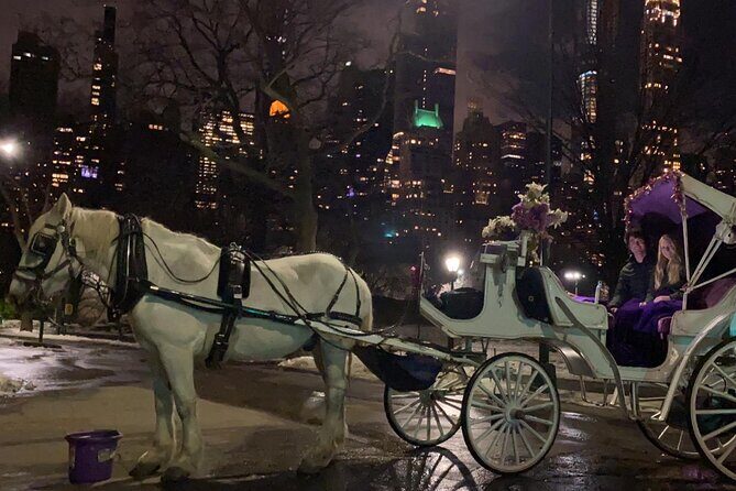 Magical Evening Horse-Drawn Carriage through NYC (65 min) - The Itinerary: What to Expect from Start to Finish