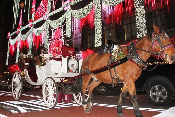 Magical Evening Horse-Drawn Carriage through NYC (65 min) - Who Should Consider This Tour?