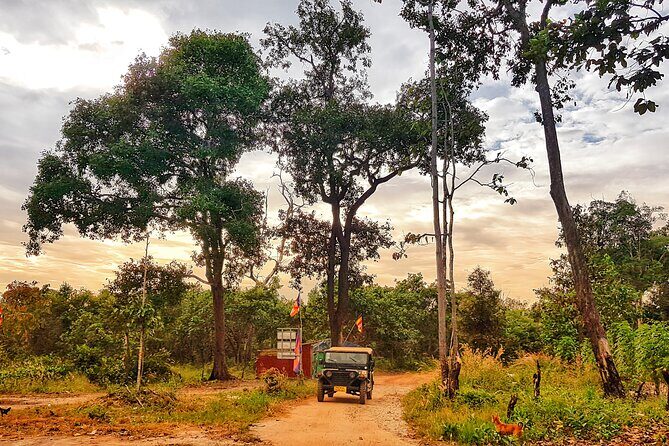 Magical Kulen Mountain by Cambodiajeep - The Cultural Treasure: Preah Ang Thom and the River of a Thousand Lingas