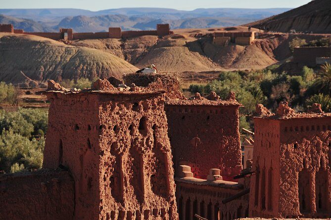 Magical Tour of Kasbahs, Ouarzazate & Oasis 1 night 2 days - A Word of Caution