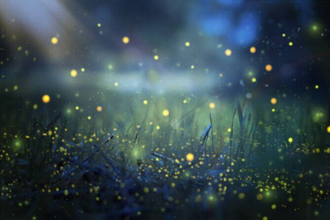 Magical Village Tour & Private Dinner with Fireflies in Bali - Key Points