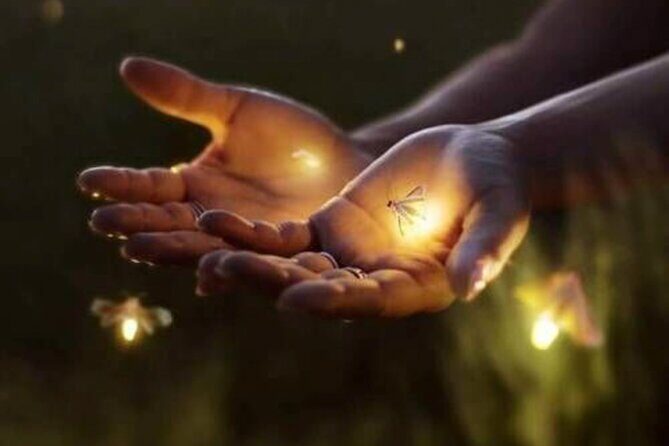 Magical Village Tour & Private Dinner with Fireflies in Bali - What Makes This Tour Stand Out for Travelers