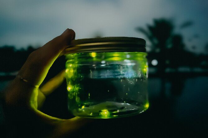 Magical Village Tour & Private Dinner with Fireflies in Bali - Practical Details & Tips for Attendees