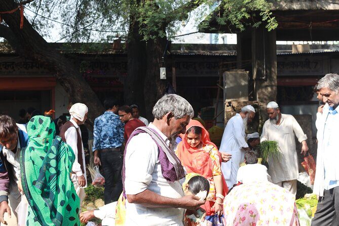Magical Walk of Jaipur - What to Expect and Why it Matters