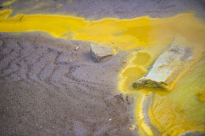 Magical Wanderer Experience Private Tour to Te Puia & Wai-O-Tapu - Who is this tour best for?